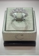 Crivelli white gold eternity ring with diamonds CRV21215