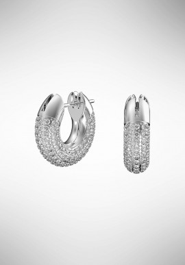 Swarovski Dextera Earrings 5618306