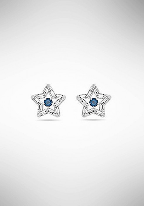 Swarovski Stella Earrings 5639188