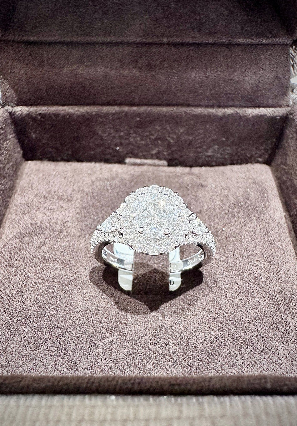 Anello Crivelli in oro bianco con pave di diamanti CRV2420 Gioielleria Loffredo