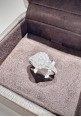 Anello Crivelli in oro bianco con pavè di diamanti CRV2420