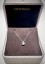 Crivelli point light necklace with brilliant CRV2497