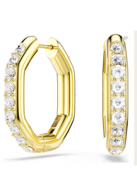 Orecchini Swarovski Dextera 5724584 