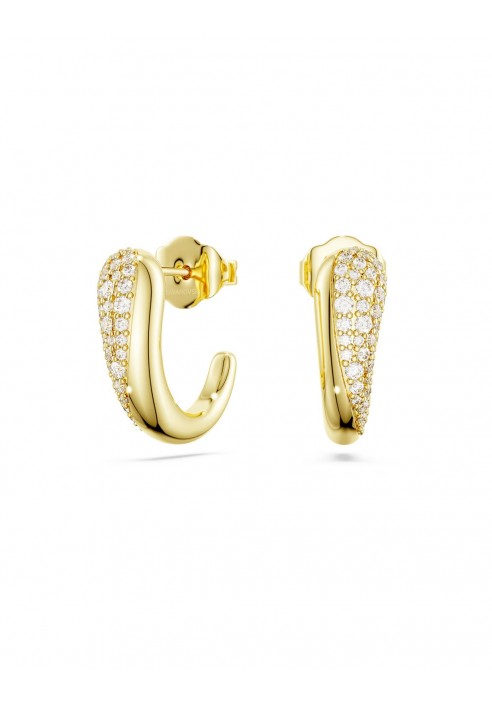 Orecchini Swarovski a cerchio Classica 5745020