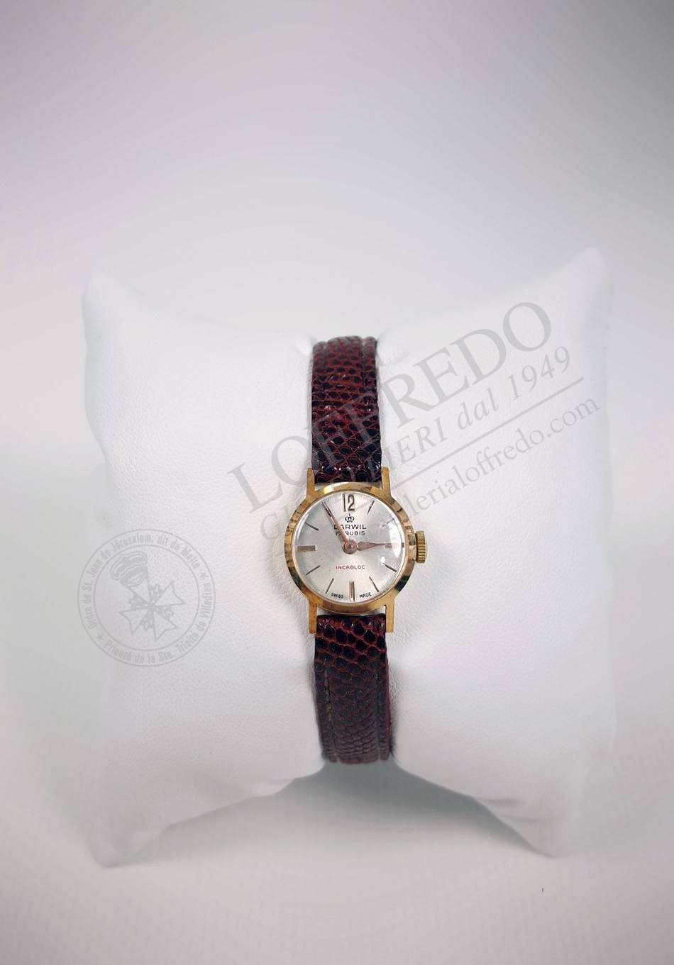 Darwil gold case watch mod. DAR0161 Gioielleria Loffredo