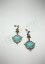 Alcozer "Classic" earrings ACZ1668